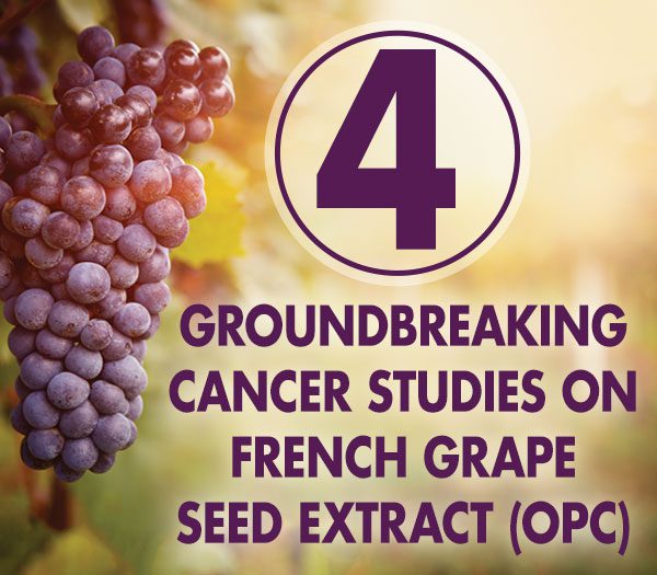 New Research: 4 Groundbreaking Cancer Studies on FRENCH GRAPE SEED EXTRACT (OPC)