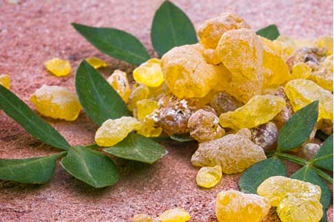 Boswellia: An Amazing Gift for Your Health