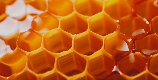 Propolis: An amazing immune-boosting ingredient