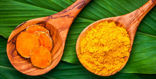 The Inside Scoop on Curcumin for Equine Athletes