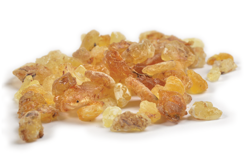 Boswellia image