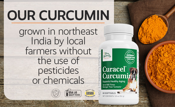 OUR CURCUMIN grown in northest India by local farmers without the use of pesticides or chemicals