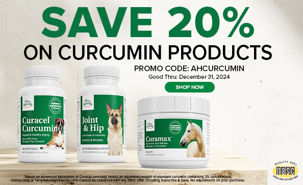 SAVE 20% on Curcumin Products • promo code: AHCURCUMIN • Good thru: December 31, 2024