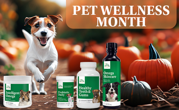 OCTOBER IS PET WELLNESS MONTH