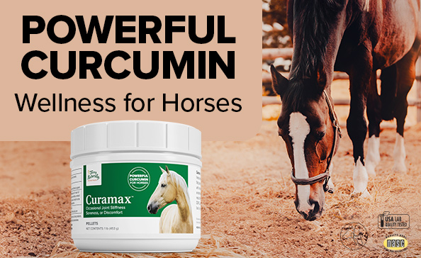 POWERFUL CURCUMIN • Wellness for Horses