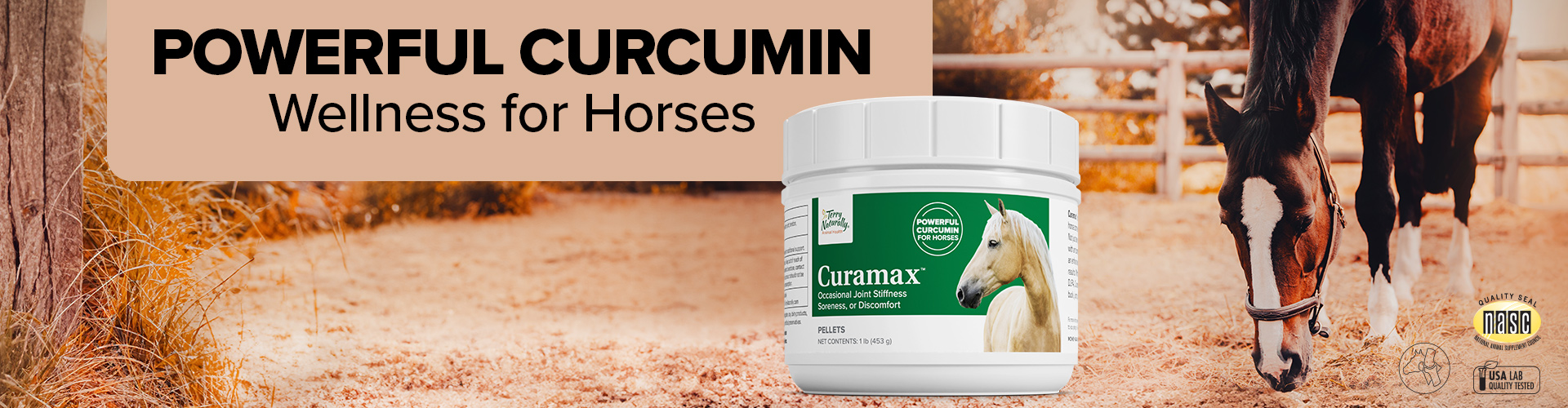 POWERFUL CURCUMIN • Wellness for Horses