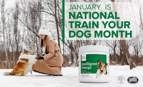 JANUARY is National Train Your Dog Month