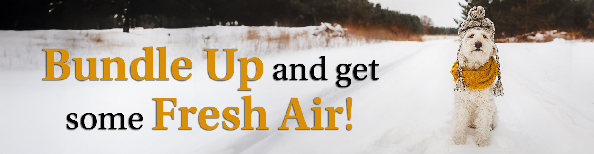 Bundle Up and get some Fresh Air!