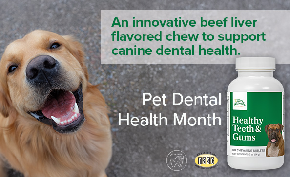 HEALTHY TEETH & GUMS • An innovative beef liver flavored chew to support canine dental health • Pet Dental Health Month