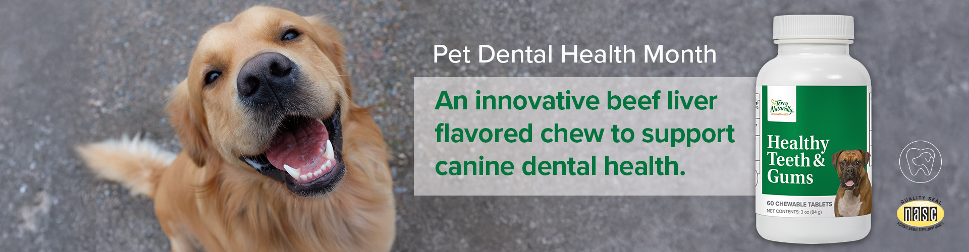 HEALTHY TEETH & GUMS • An innovative beef liver flavored chew to support canine dental health • Pet Dental Health Month